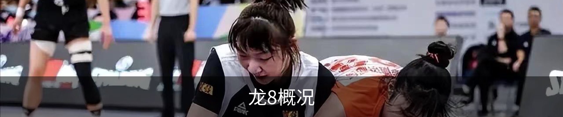 龙8概况